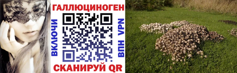 дарнет шоп  Тетюши  Псилоцибиновые грибы мицелий 